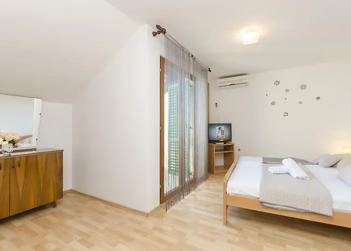 Vladimir Apartamento *